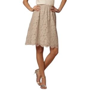 Lydia Lace Skirt By Jenny Yoo Size 2
